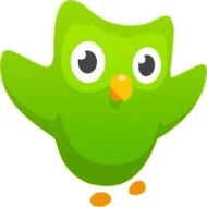 1666892221587.webp