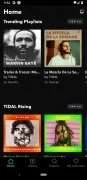 tidal-15410-1.jpg