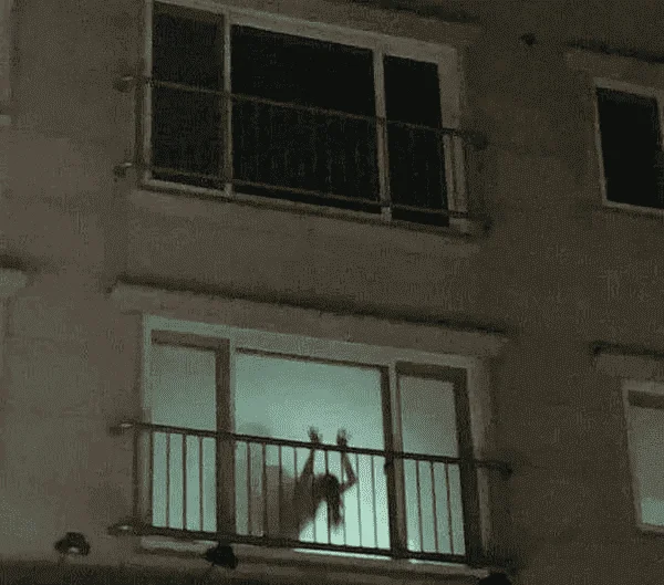 1667298206537.png