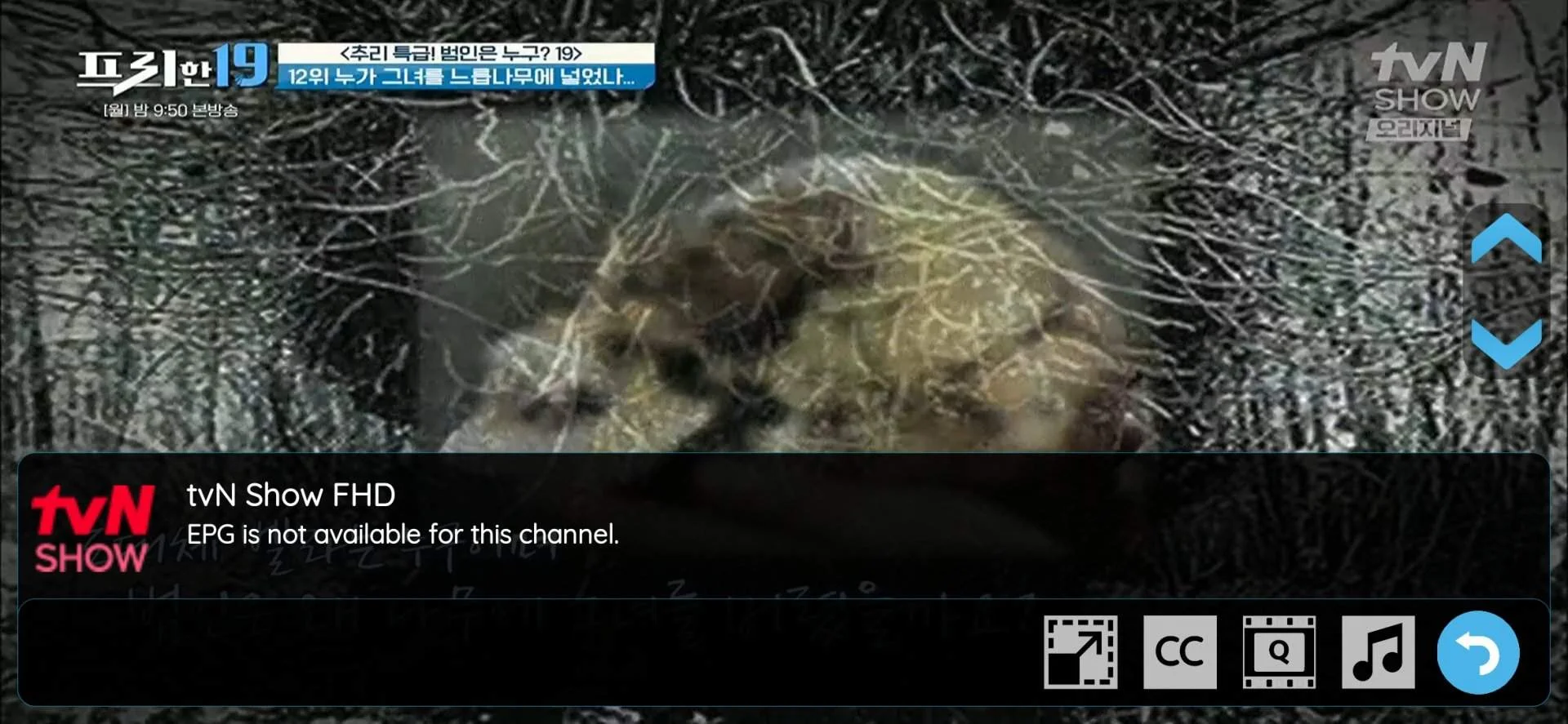 Screenshot_20221105-221813_VIP-TV.webp