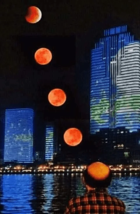 1667953500627.webp