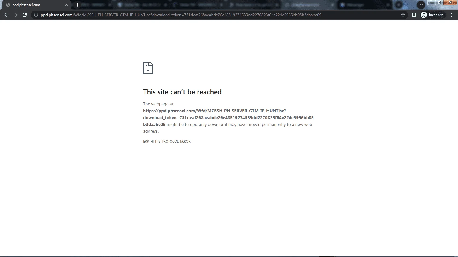 1668184520846.webp