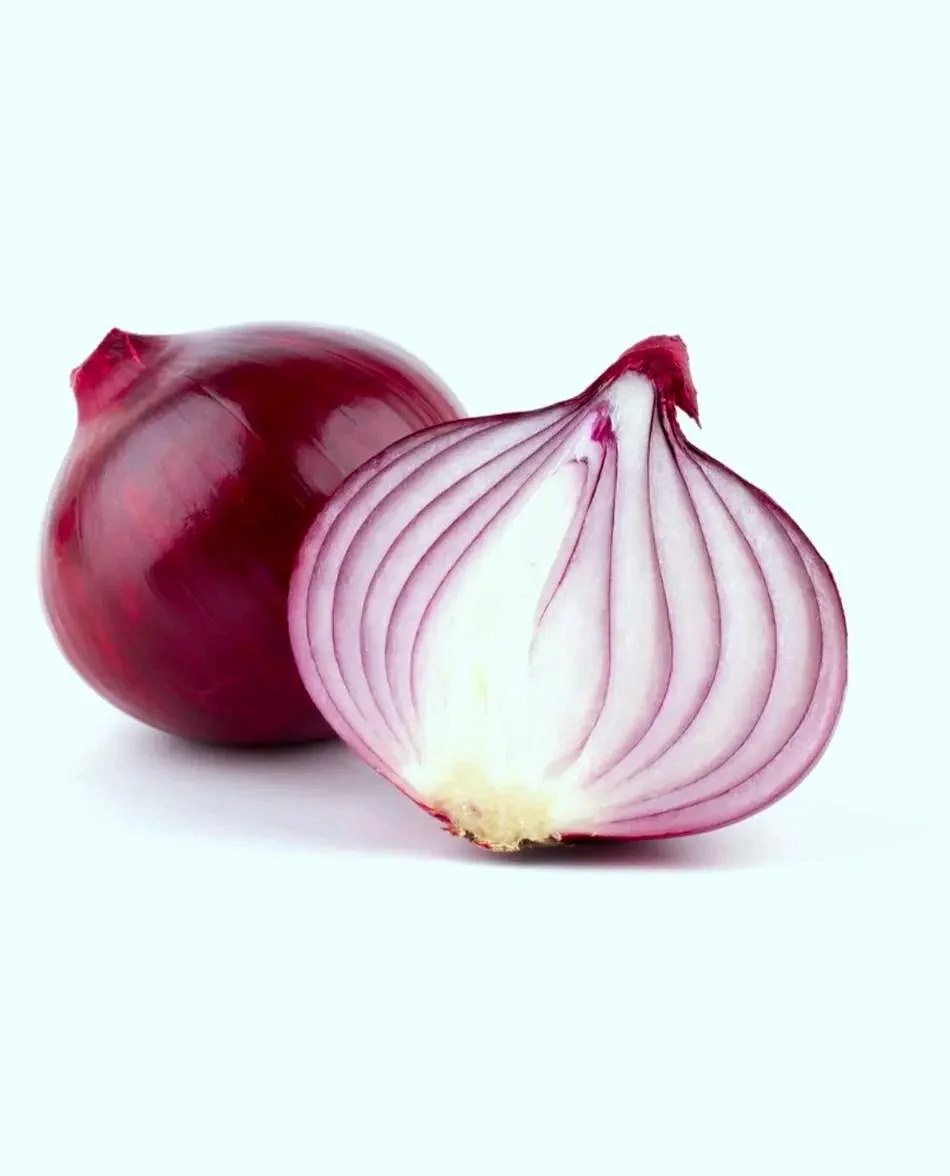 1668173874657.webp