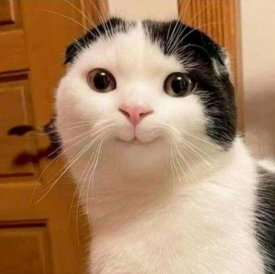 90b8383b7b0d3e68e8ee7803a2e633f1.webp