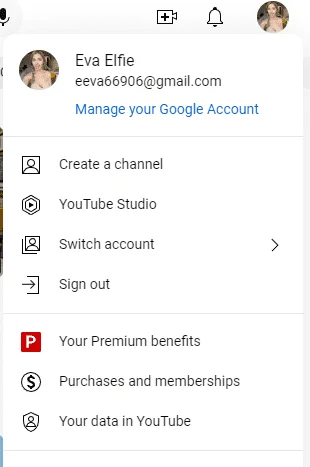 Premium.webp