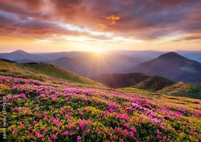 Beautiful nature