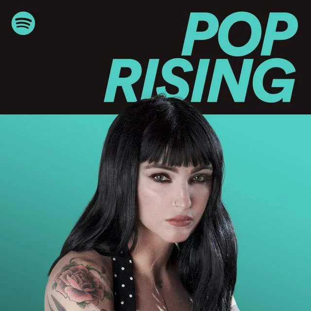 Spotify Playlist | 160 kbps Vorbis