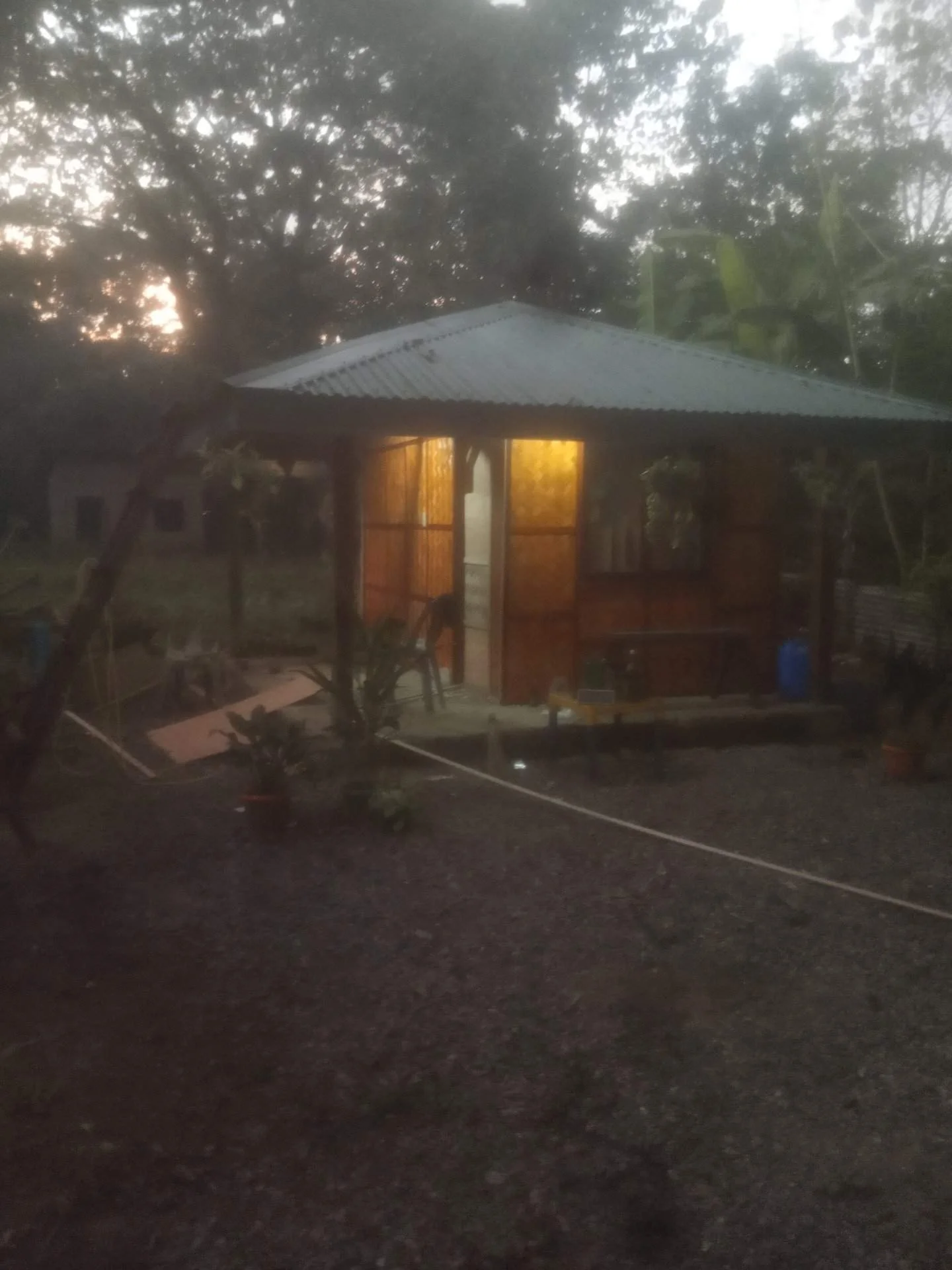 IMG_20221113_173643.webp