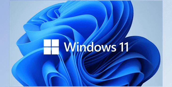 1668597101144.webp