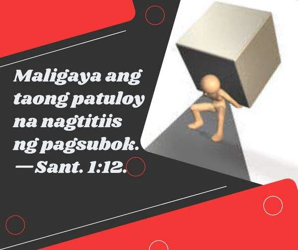 273618171_267574628838498_4386851212669965517_n.webp
