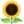 1f33b.webp