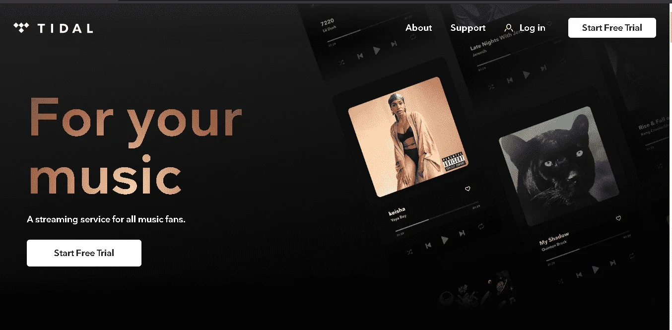 Download flac files any song you want using Tidal High Fidelity Music and Divolt Slav art