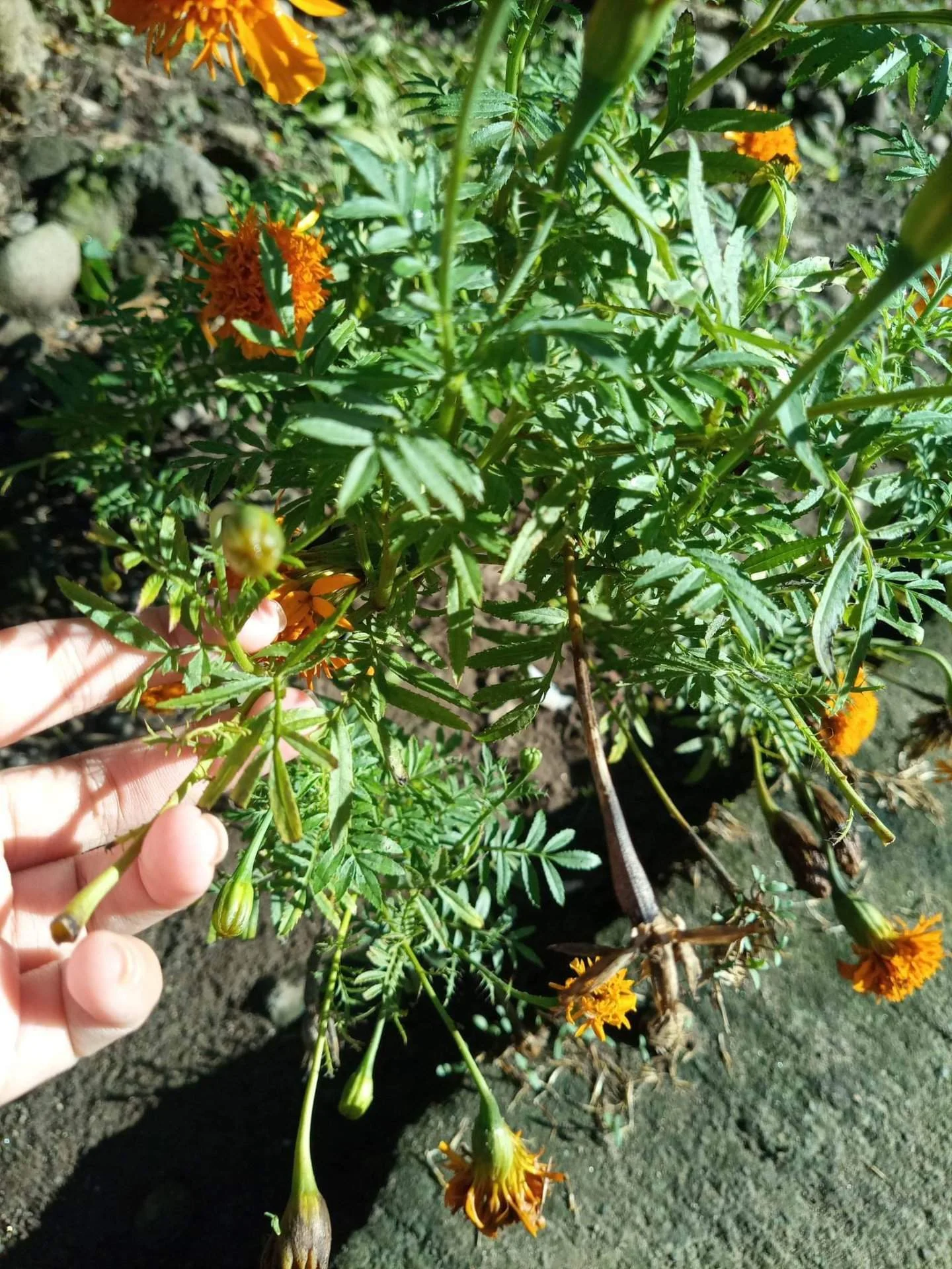 received_1118269392386025.webp