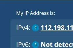ip.JPG