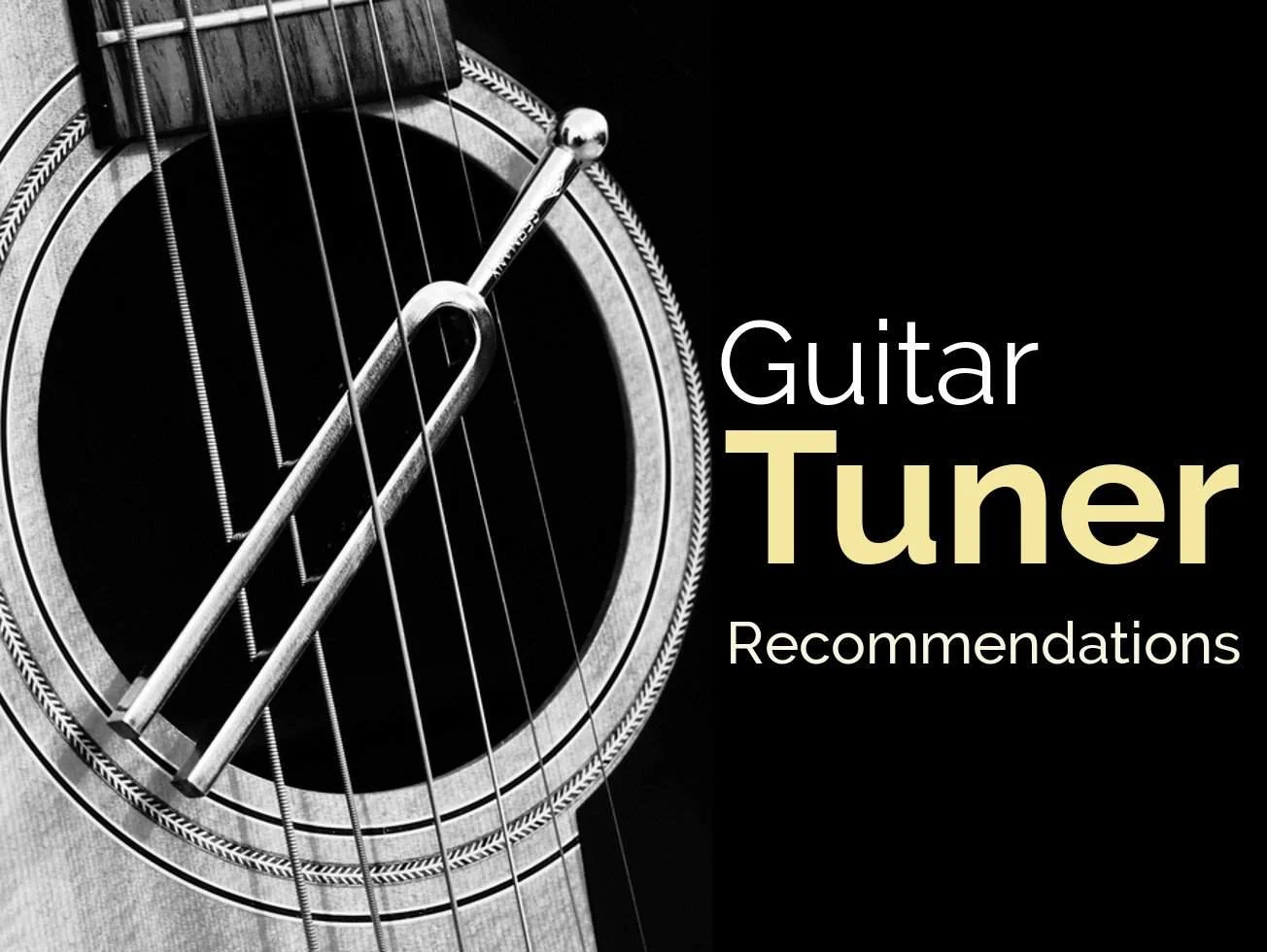 guitar tuna.webp