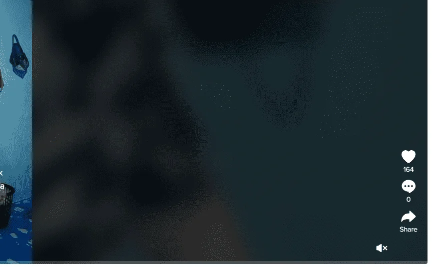 1669825345071.webp