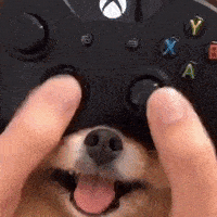 200.gif