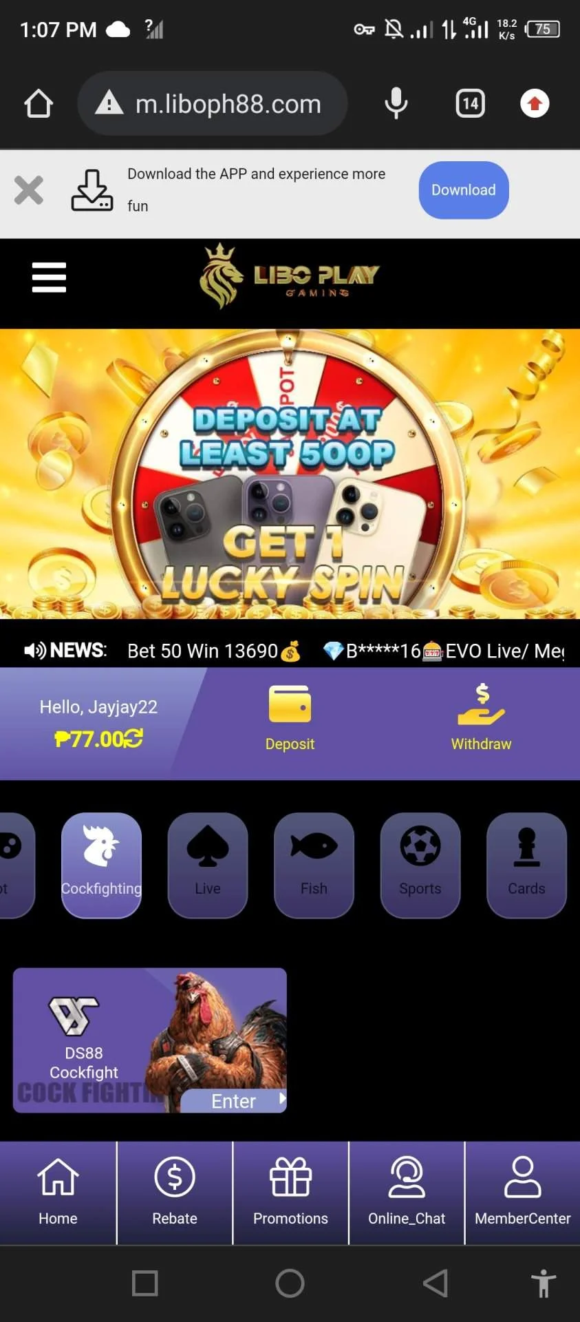Screenshot_20221201-130727.webp