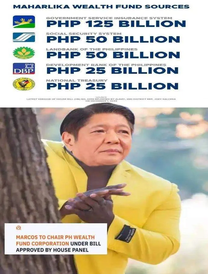Marcos backs creation of Maharlika Wealth Fund  Diokno