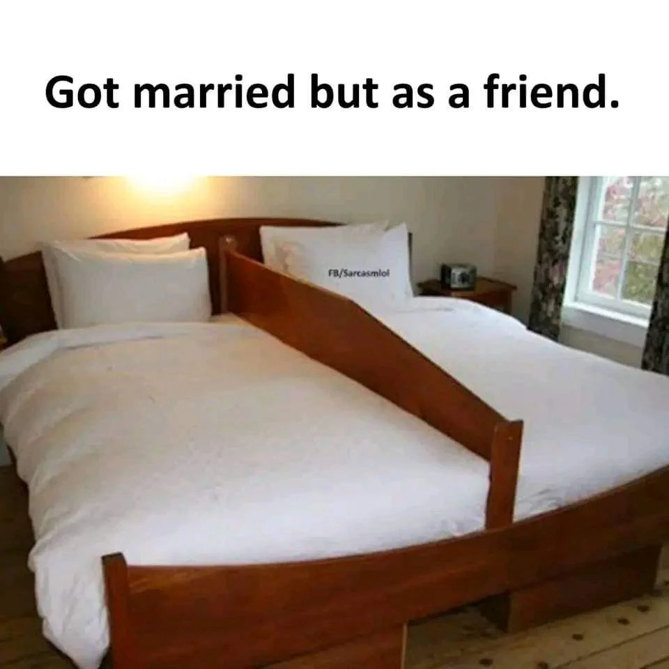 FB_IMG_1670935604758.webp