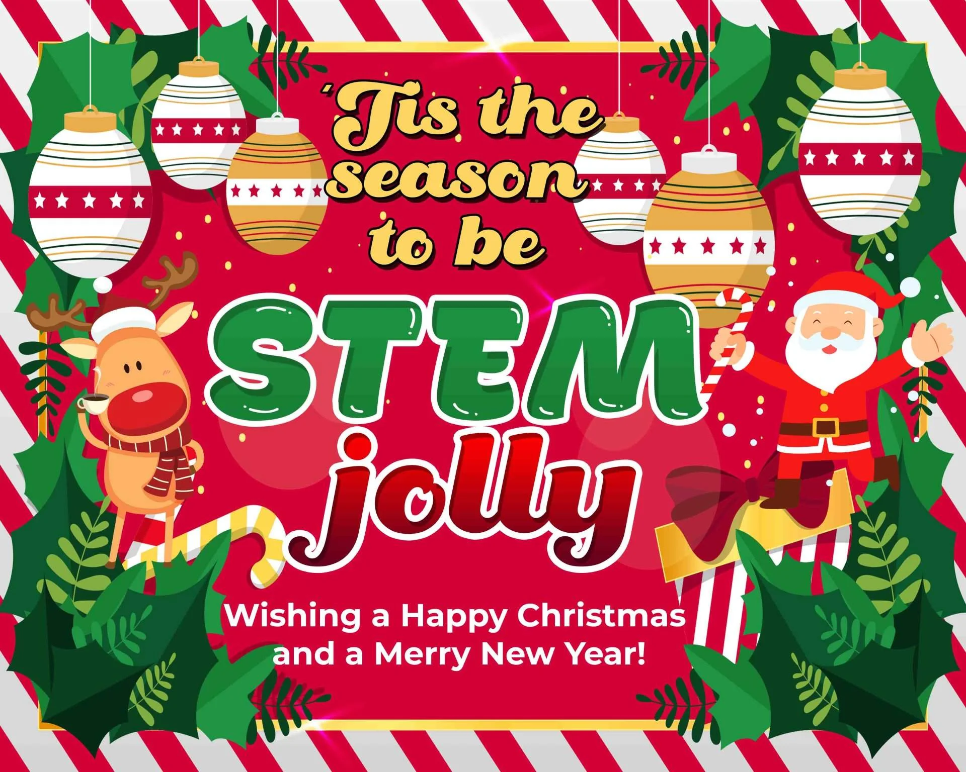 STEM JOLLY copy.webp