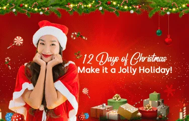 376 x 240 PG Banner for 12 Days of Christmas Promo.webp