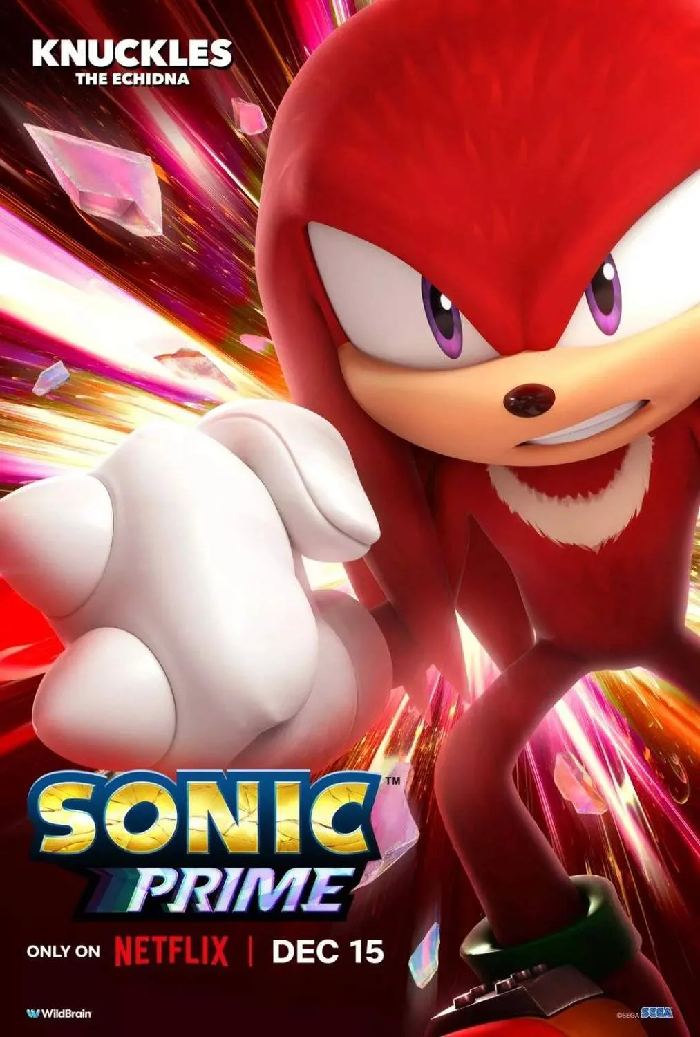 Sonic Prime 2022 | NF | COMPLETED | 720p | WEBrip | x264 | High Quality | English Sub