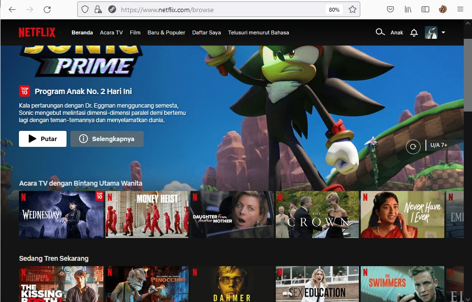 newflix.webp