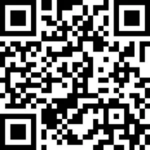 1671618388255.webp