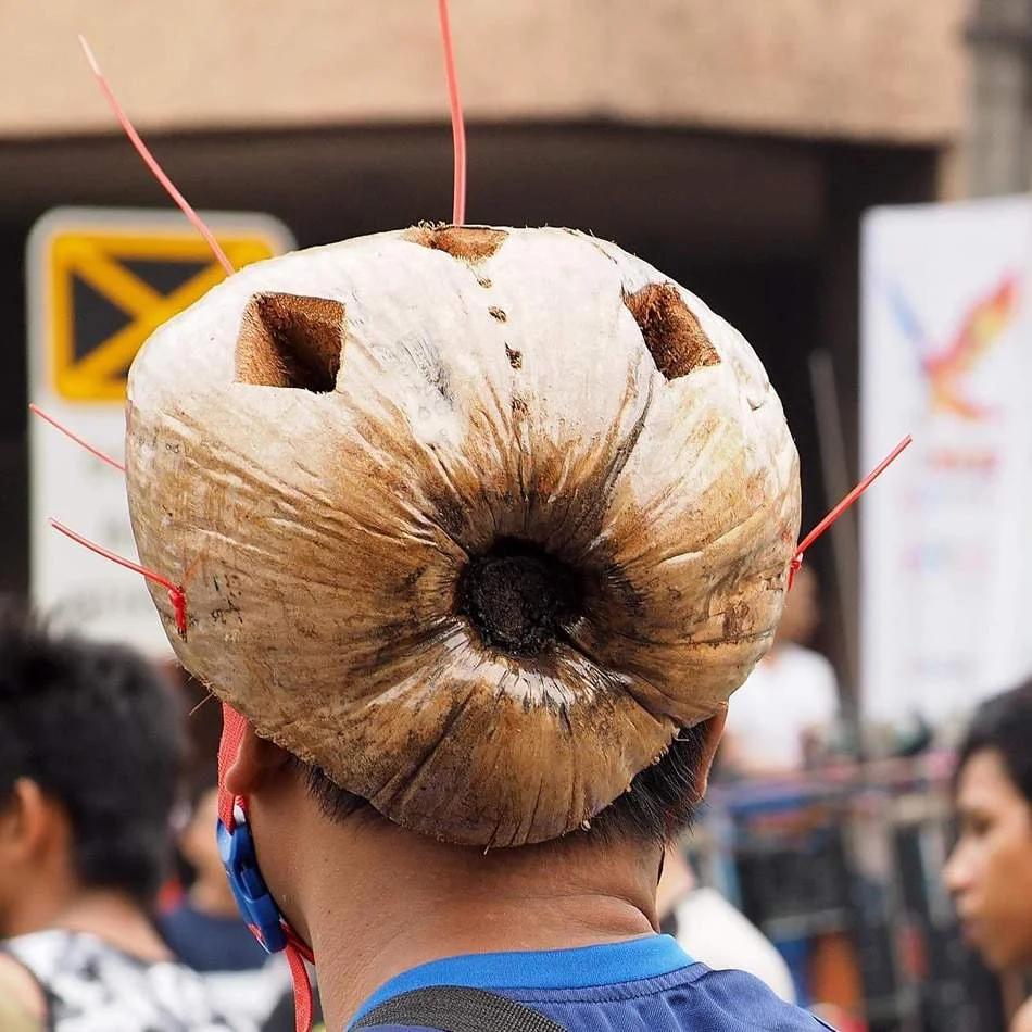 cocohelmet3.webp
