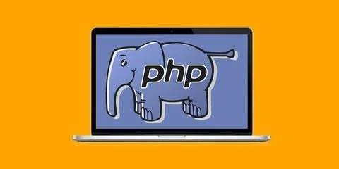 29_4.webp