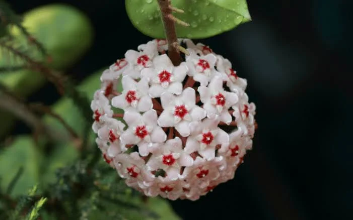 images (1).webp
