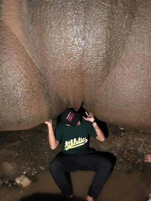 323636382_899092751116107_173460726925393958_n.webp