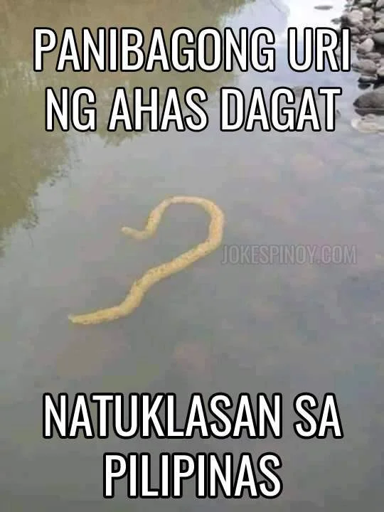 Bagong-Uri-ng-Ahas-Dagat-o-Sea-Snake.webp