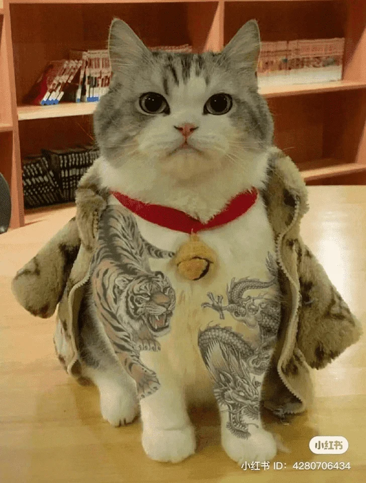 1673169627971.webp