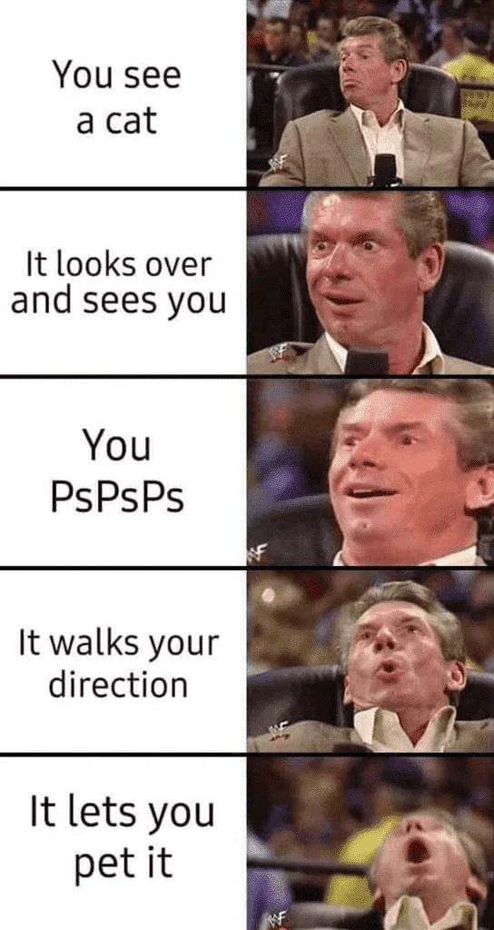 1673924072505.webp