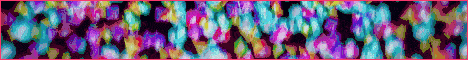 standard-1.gif
