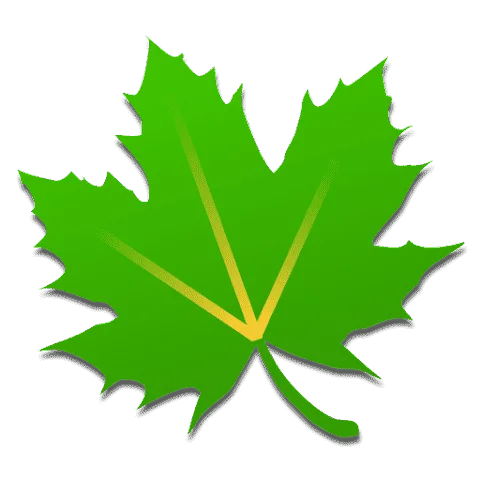 unnamed (4).webp