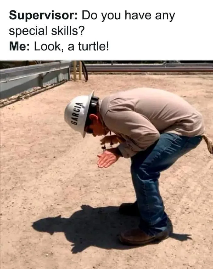 1674305117819.webp