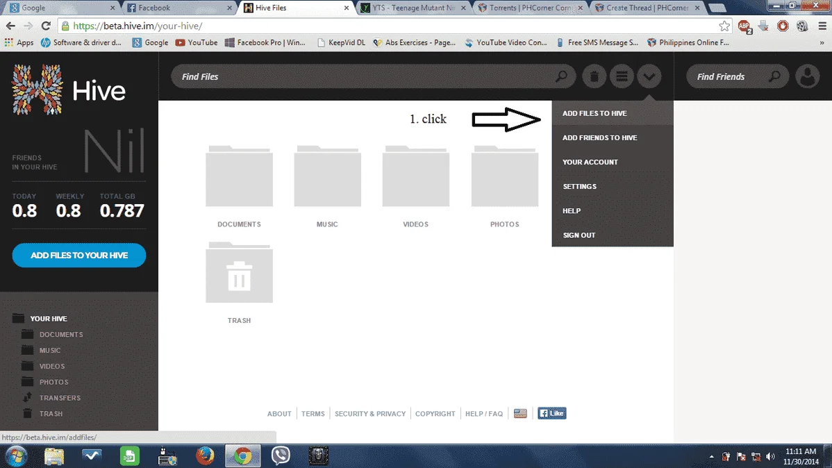 hive 1.webp