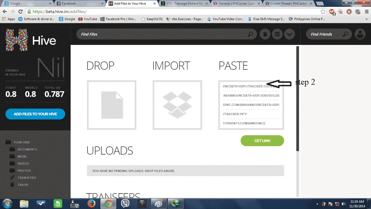 hive 2.webp