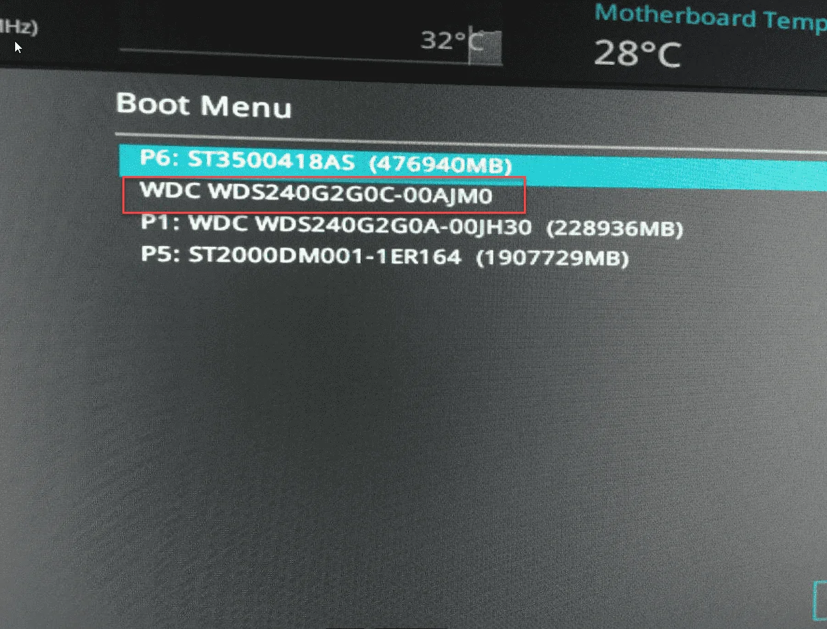 Boot 1.webp