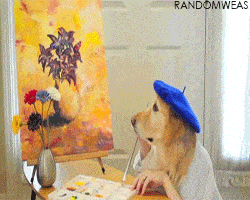 200.gif