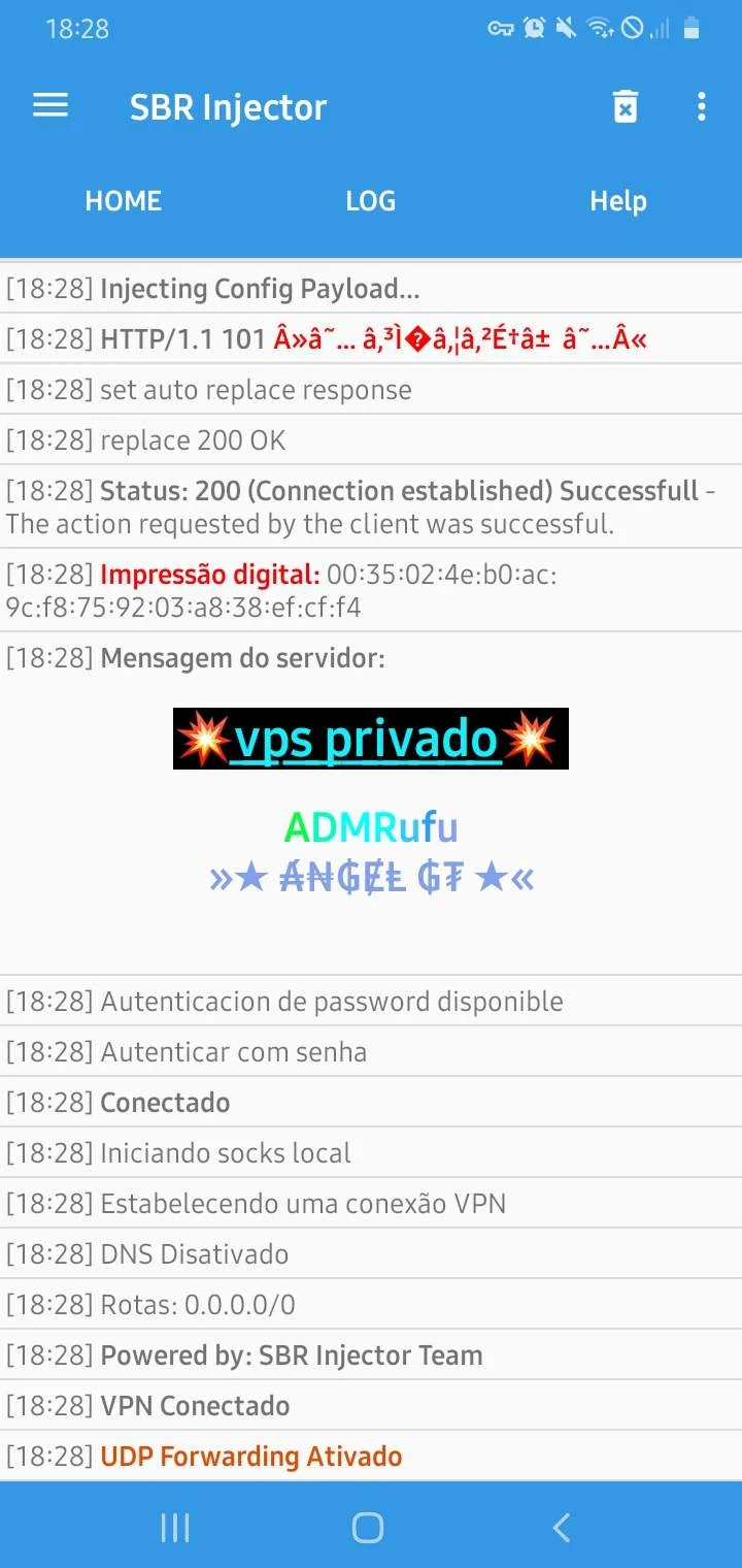 Screenshot_20230129-182839_SBR Injector.jpg