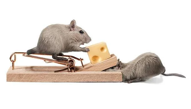 teamwork.jpg