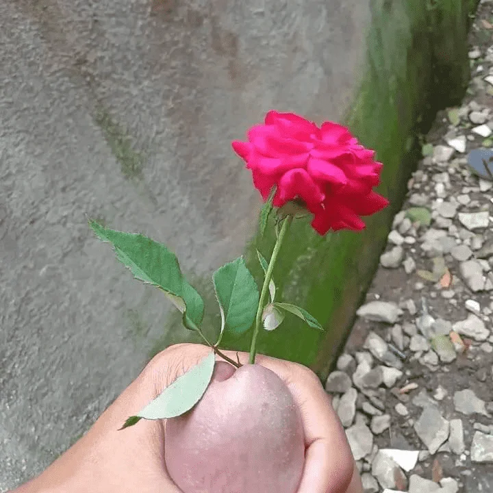 1676367591587.webp