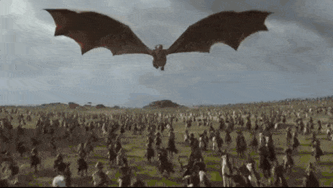 751e5ed79a8e14b7d76d21c22f62fa58.gif
