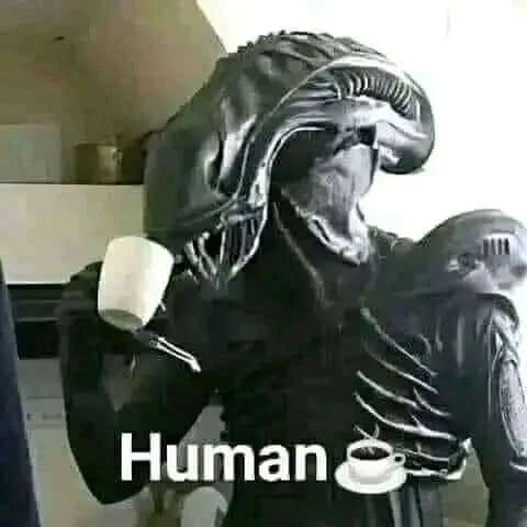 received_2063952043767196.jpeg