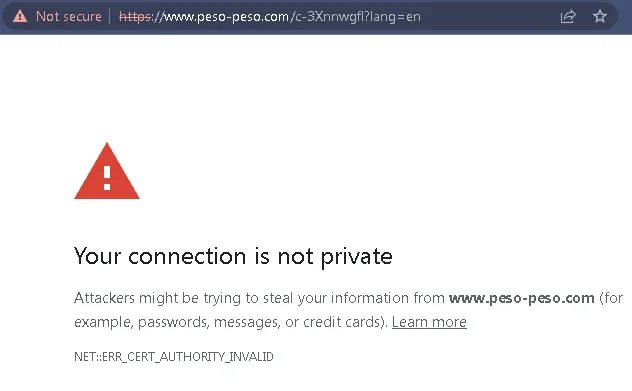 1677649217119.webp