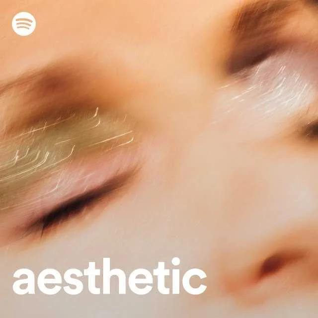 Aesthetic | Spotify Playlist [320 kbps Vorbis]